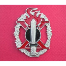Italian R.S.I. Mountain Pioneer Assault Badge