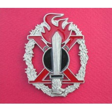 Italian R.S.I. Mountain Pioneer Assault Badge